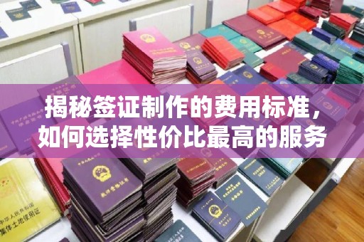 西屿揭秘签证制作的费用标准，如何选择性价比最高的服务？