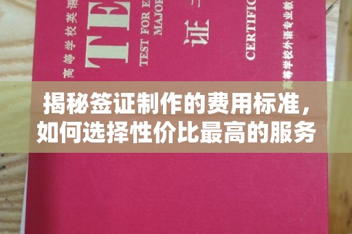 龙安揭秘签证制作的费用标准，如何选择性价比最高的服务？
