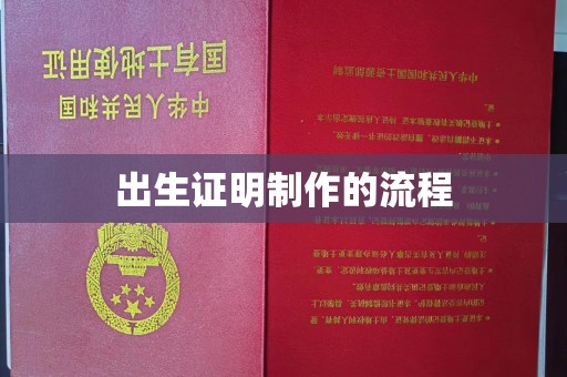 丛台出生证明制作的流程